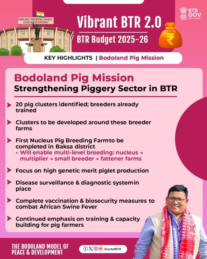 BTR Budget Pig Mission