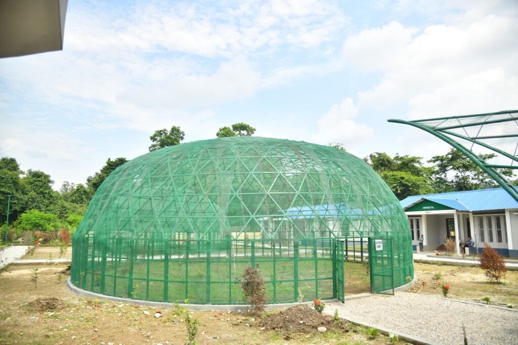 Butterfly Museum at Ultapani, Bodoland