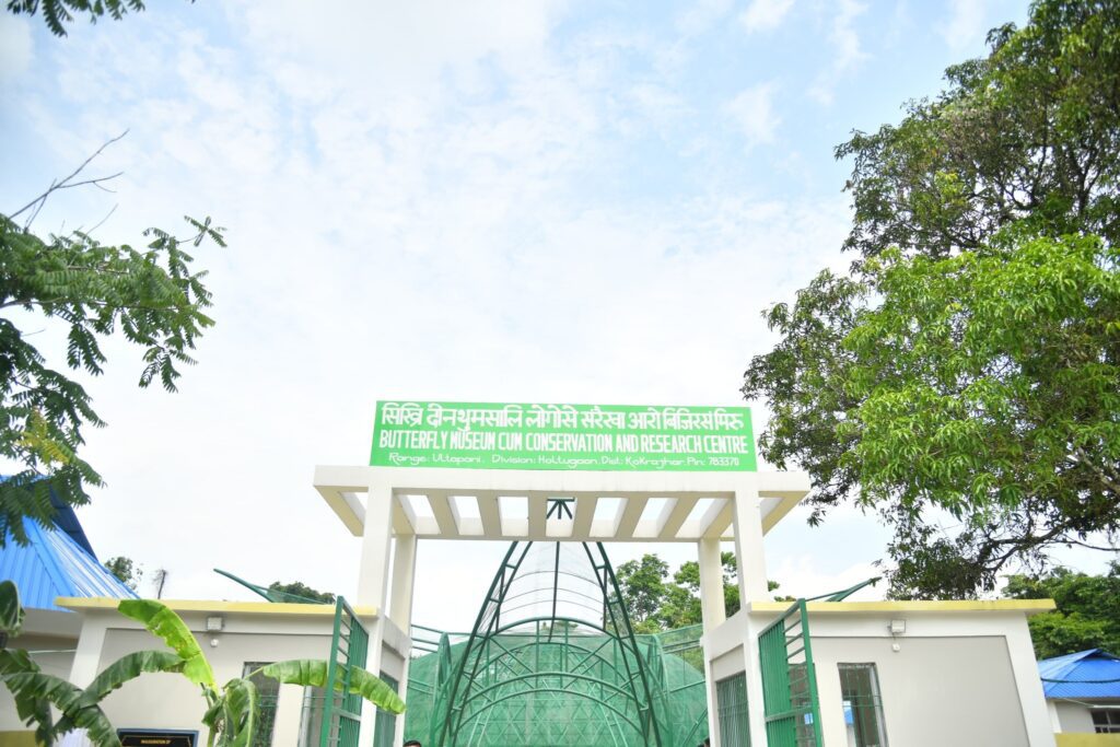 Butterfly Museum at Ultapani Gate